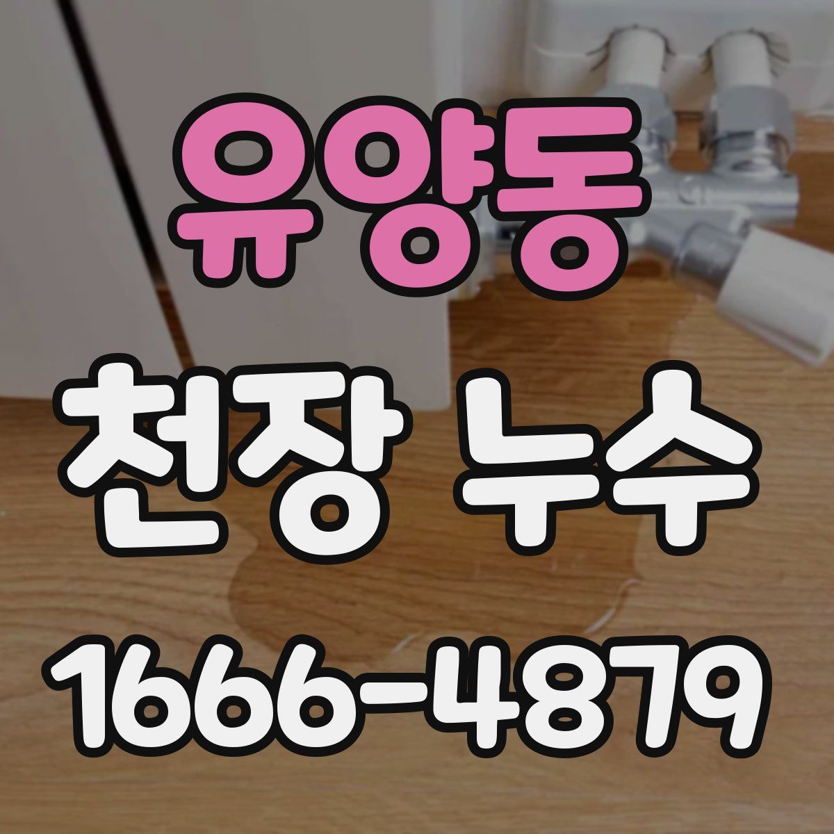 유양동 천장 누수
