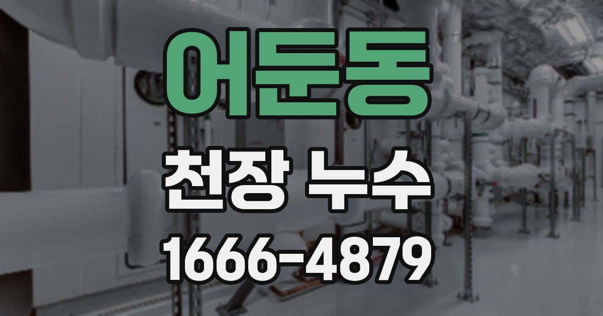 어둔동 천장 누수