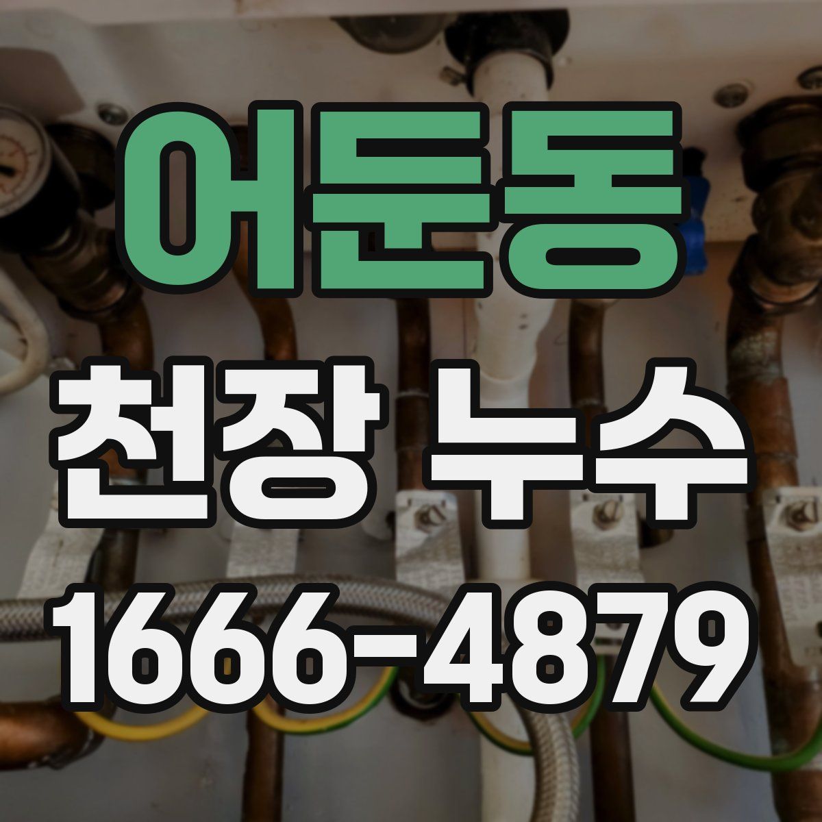 어둔동 천장 누수