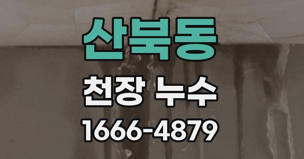 산북동 천장 누수