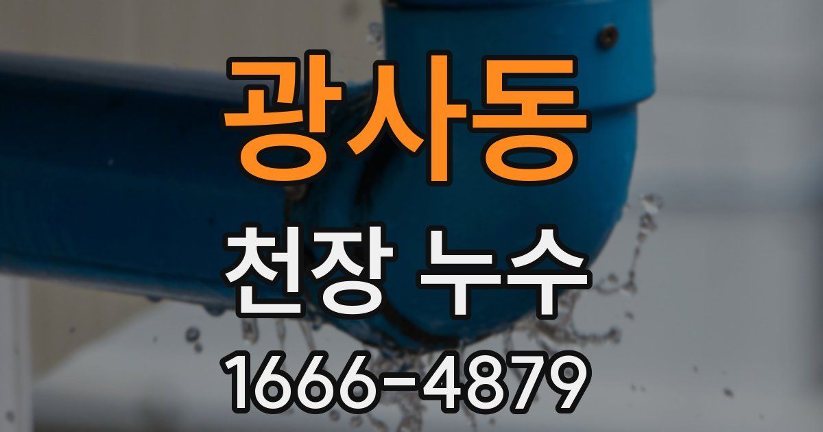 광사동 천장 누수