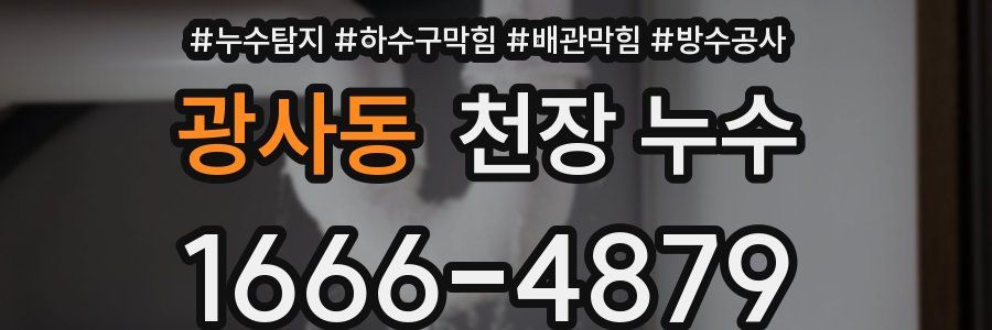 광사동 천장 누수