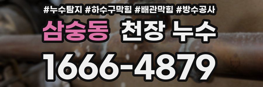 삼숭동 천장 누수