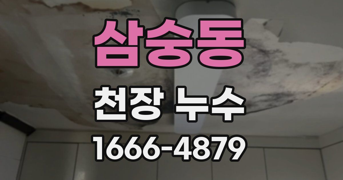 삼숭동 천장 누수