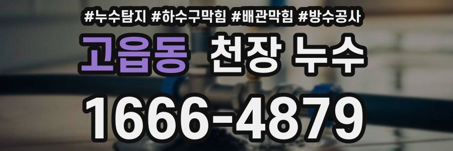 고읍동 천장 누수