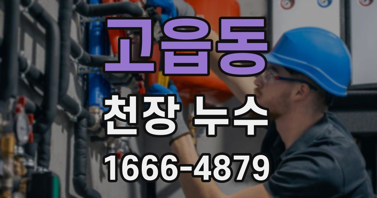 고읍동 천장 누수