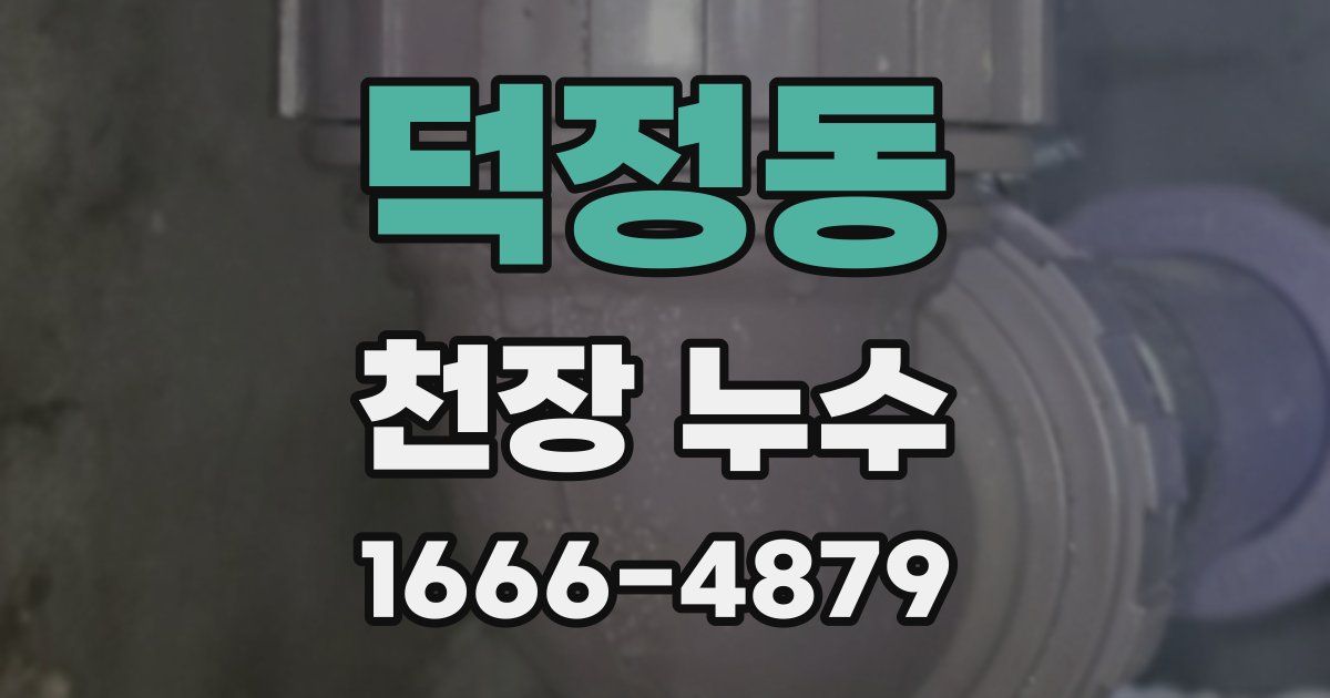 덕정동 천장 누수