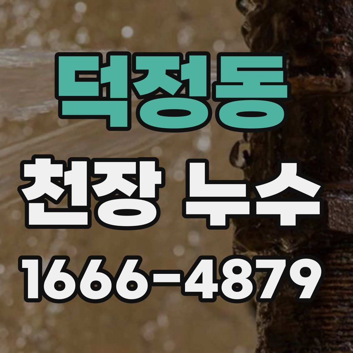 덕정동 천장 누수