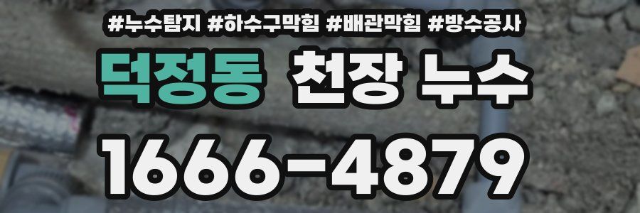 덕정동 천장 누수