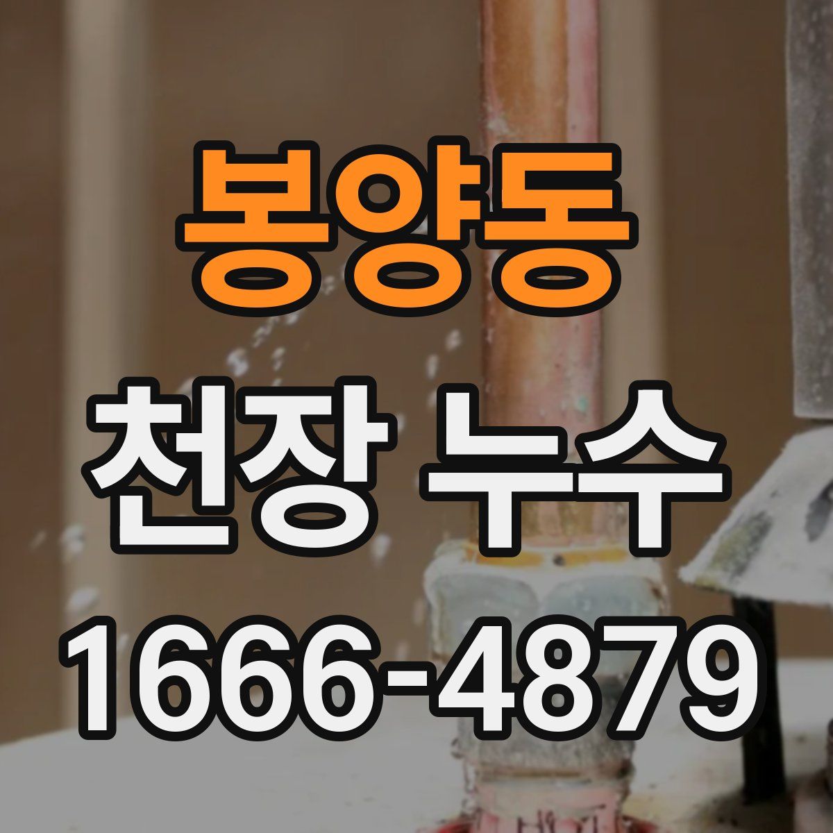 봉양동 천장 누수