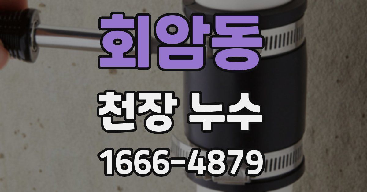 회암동 천장 누수