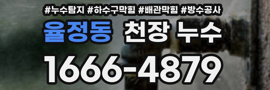 율정동 천장 누수