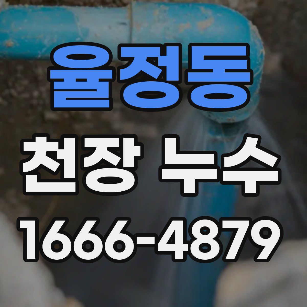 율정동 천장 누수