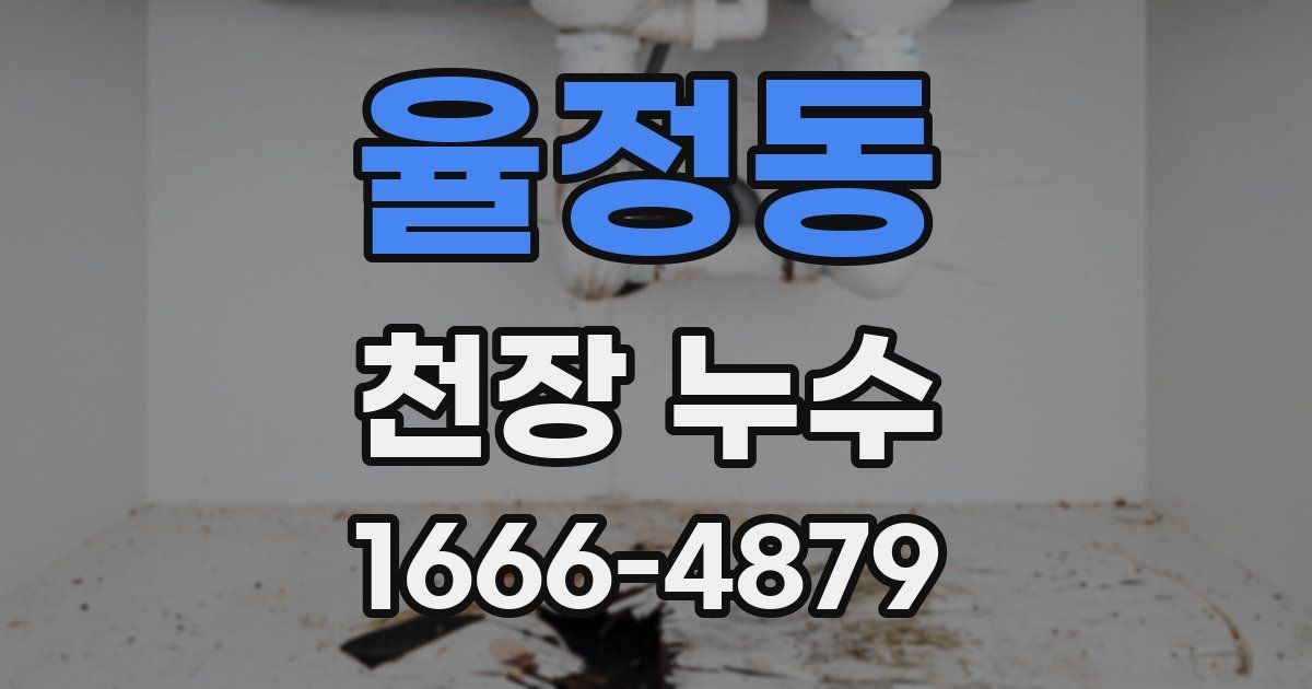 율정동 천장 누수