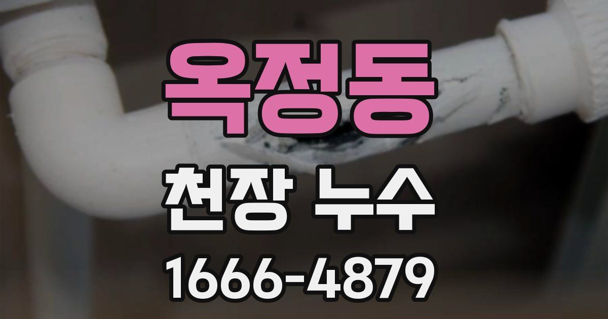옥정동 천장 누수