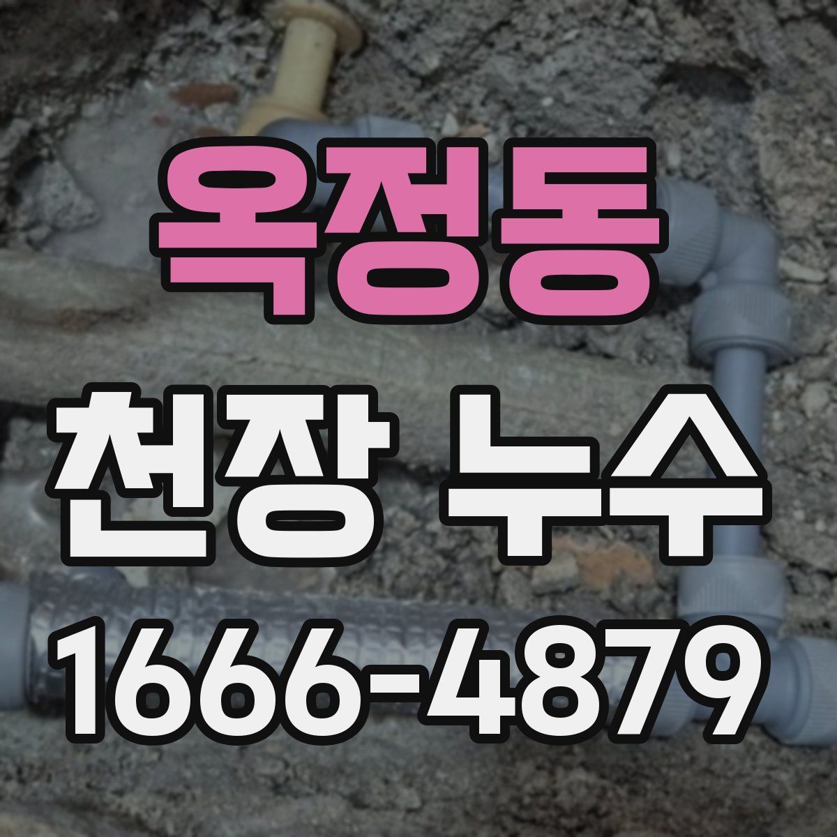 옥정동 천장 누수