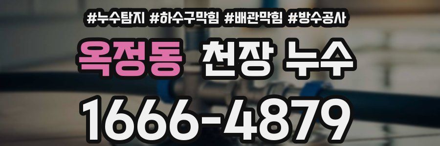 옥정동 천장 누수
