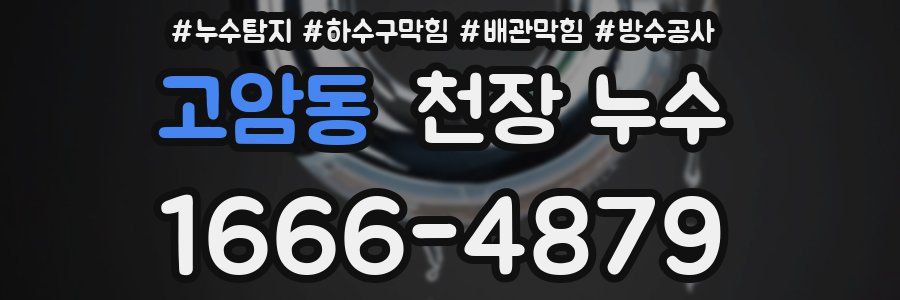 고암동 천장 누수
