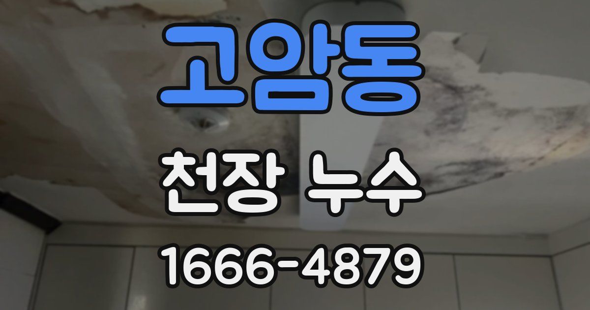 고암동 천장 누수