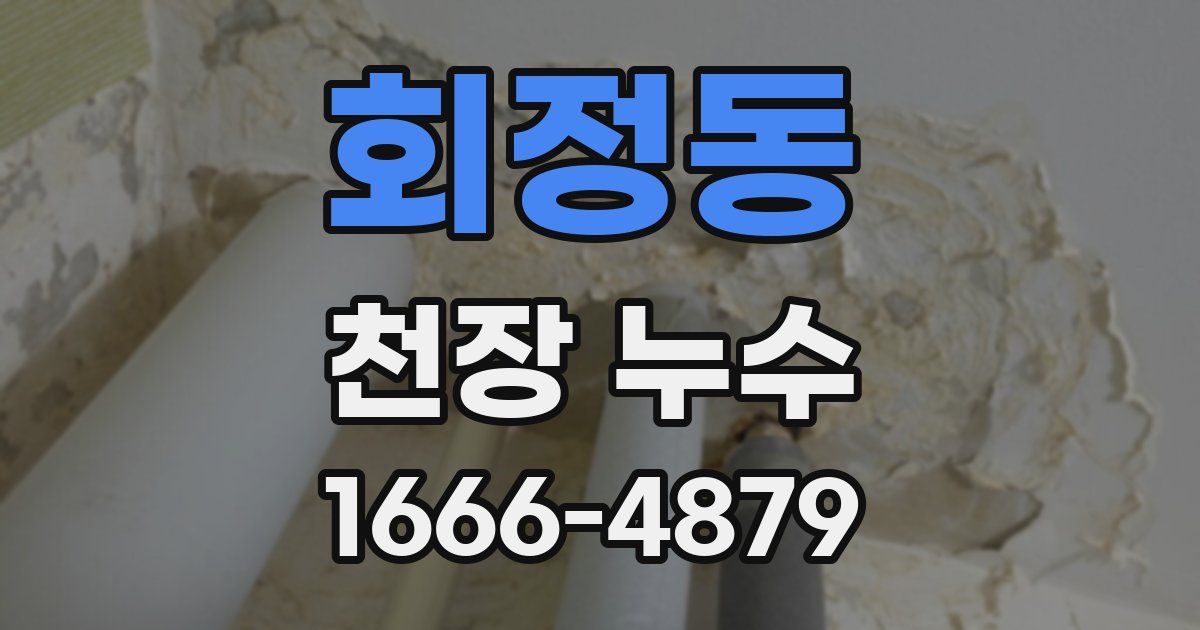 회정동 천장 누수