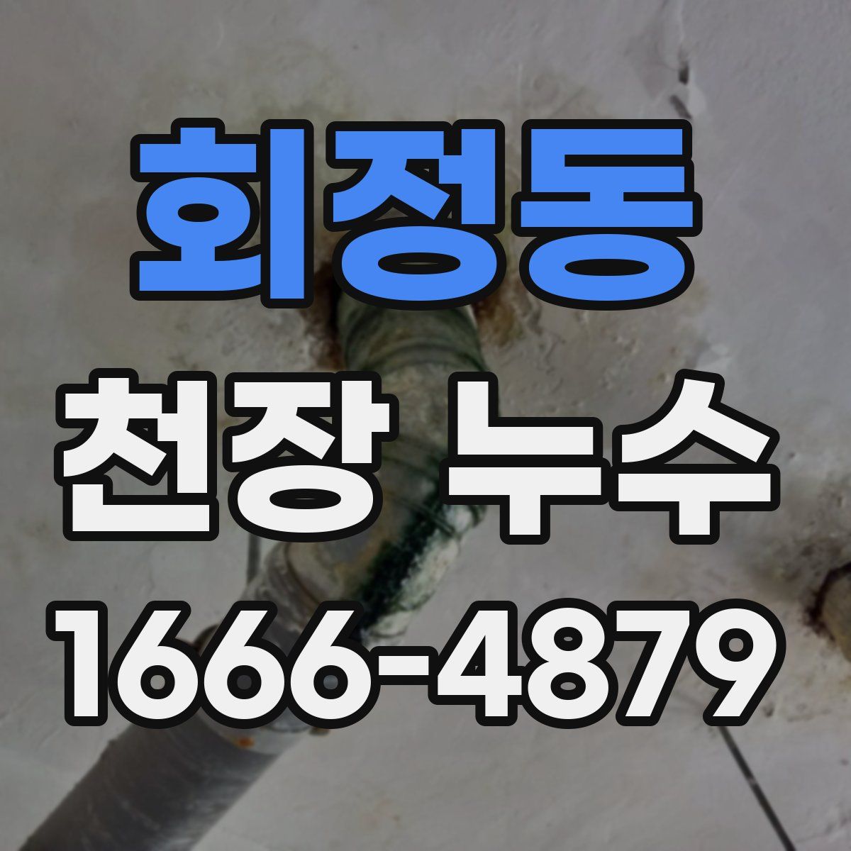 회정동 천장 누수