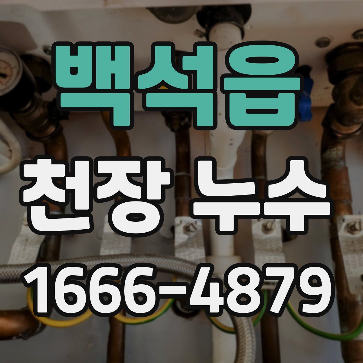 백석읍 천장 누수
