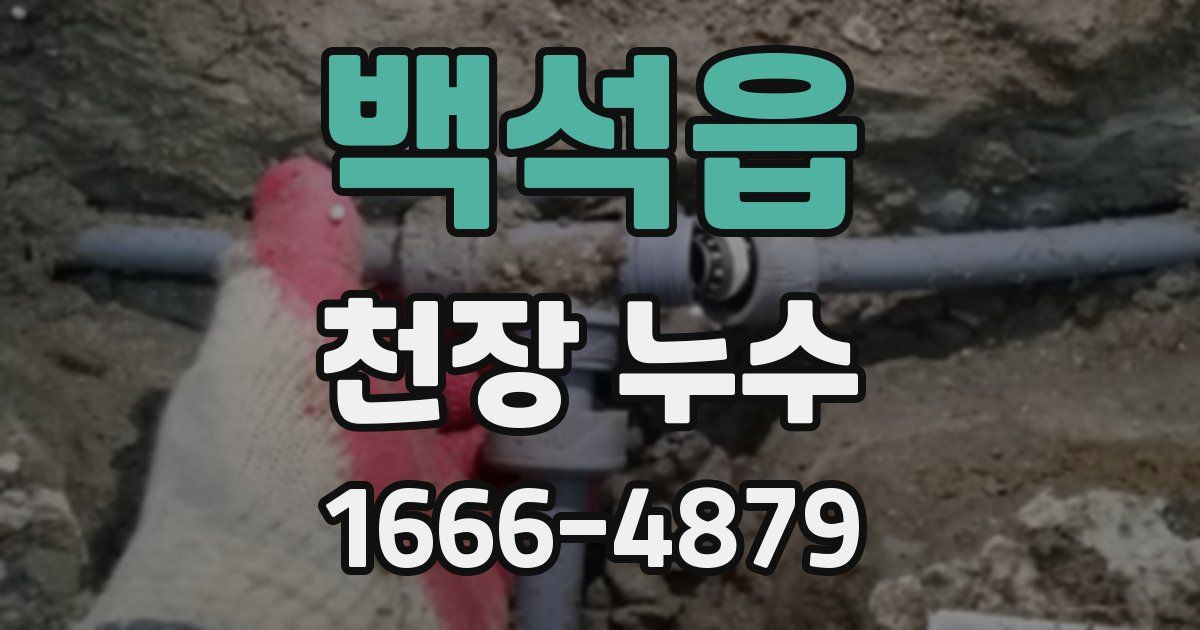 백석읍 천장 누수