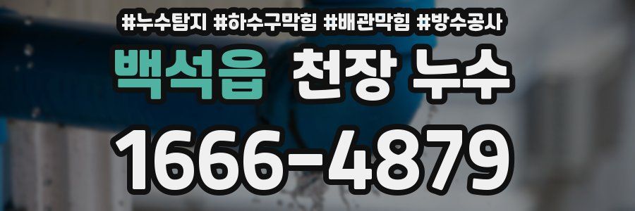 백석읍 천장 누수