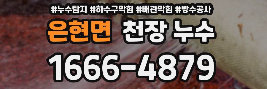 은현면 천장 누수