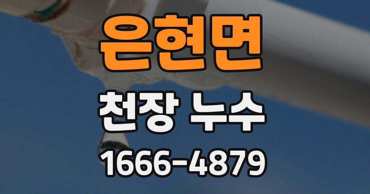 은현면 천장 누수