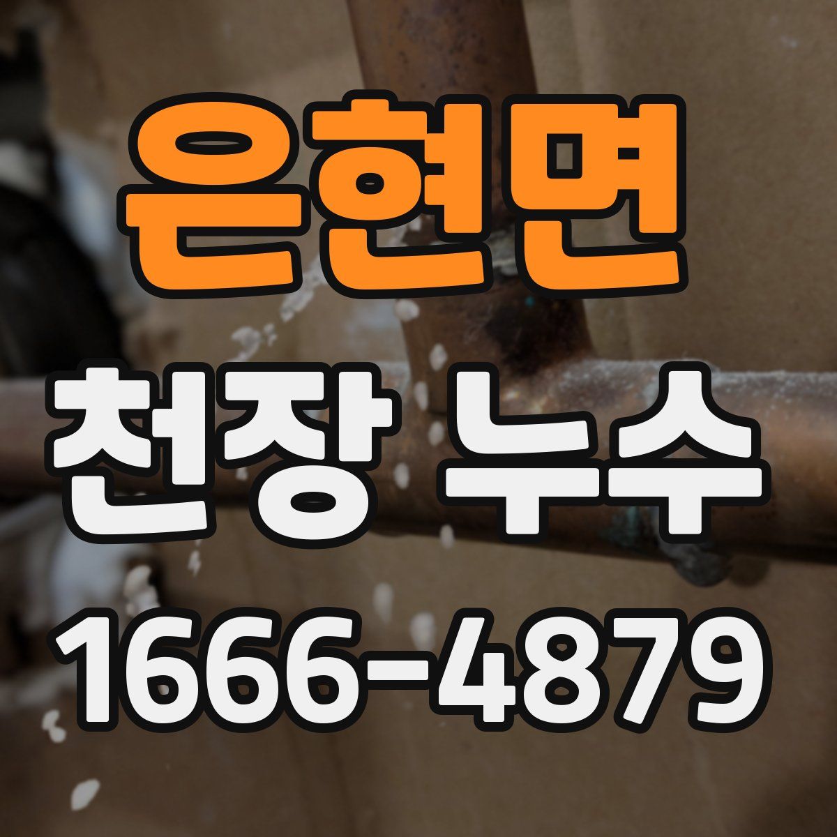 은현면 천장 누수