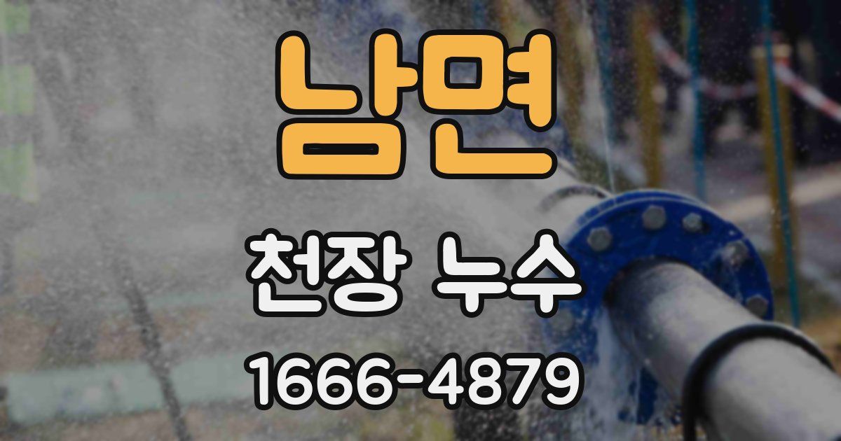 남면 천장 누수