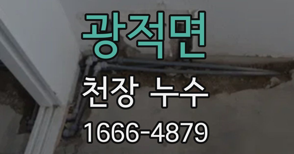 광적면 천장 누수