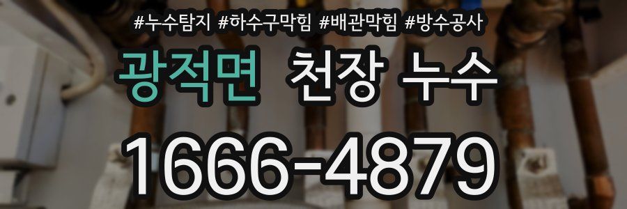 광적면 천장 누수