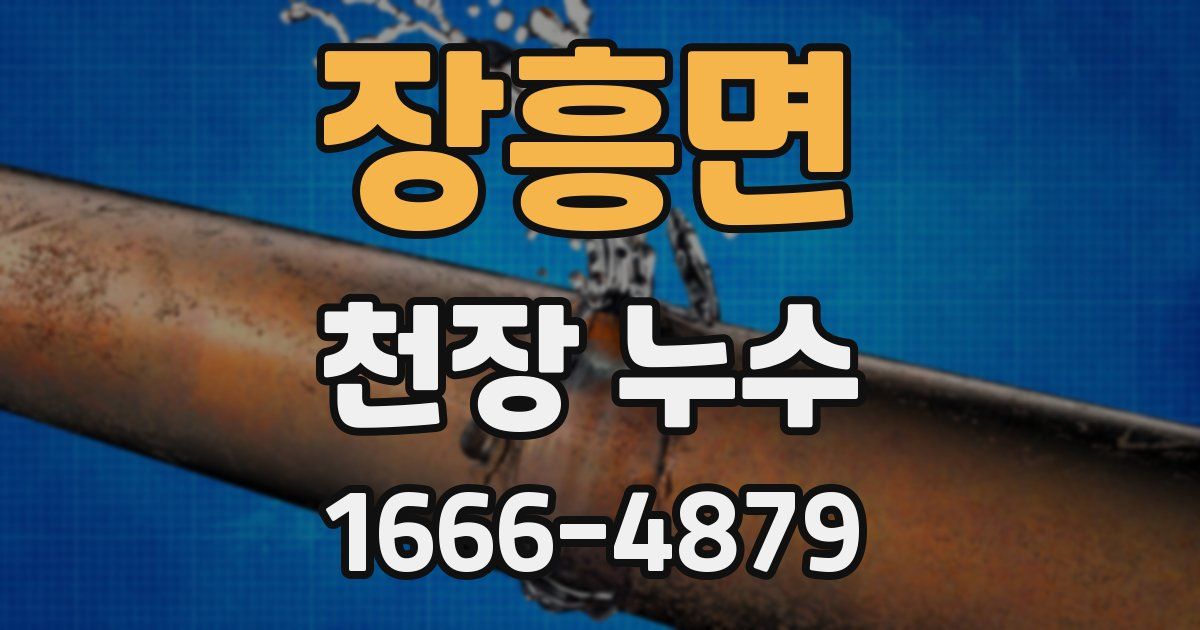 장흥면 천장 누수