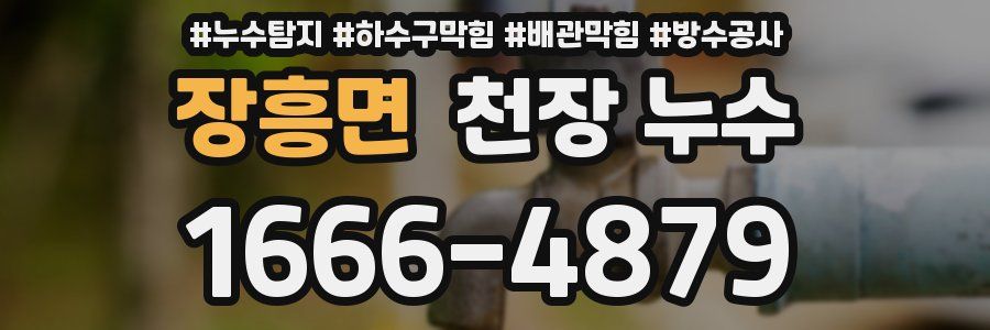 장흥면 천장 누수