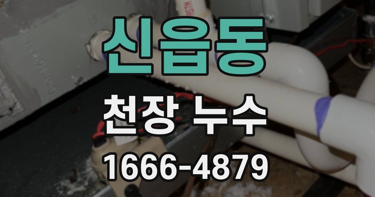 신읍동 천장 누수