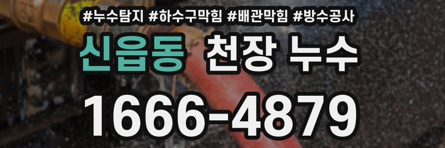 신읍동 천장 누수