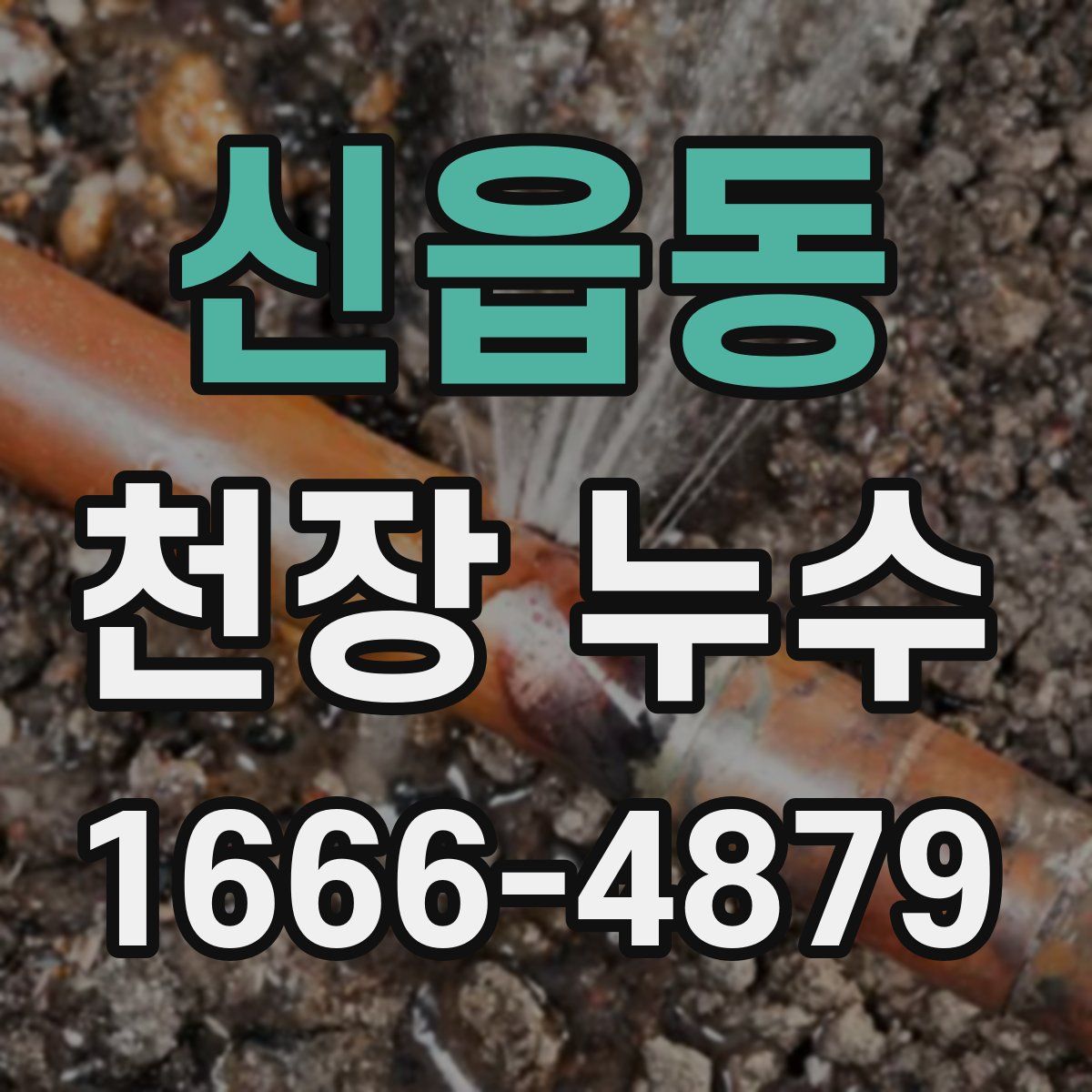 신읍동 천장 누수