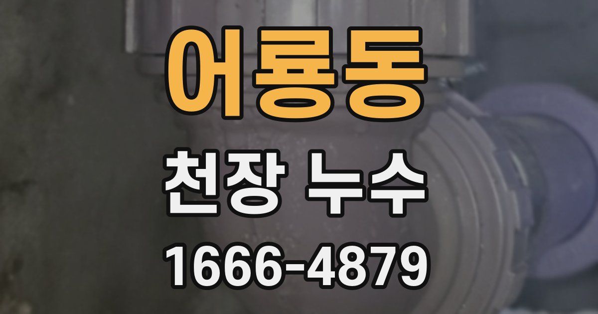 어룡동 천장 누수