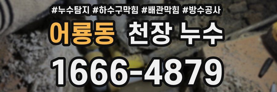 어룡동 천장 누수