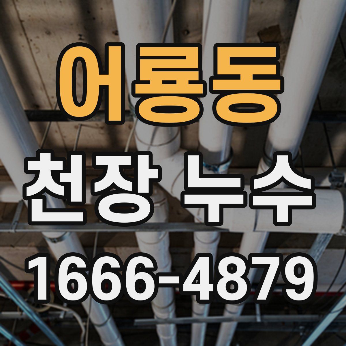 어룡동 천장 누수