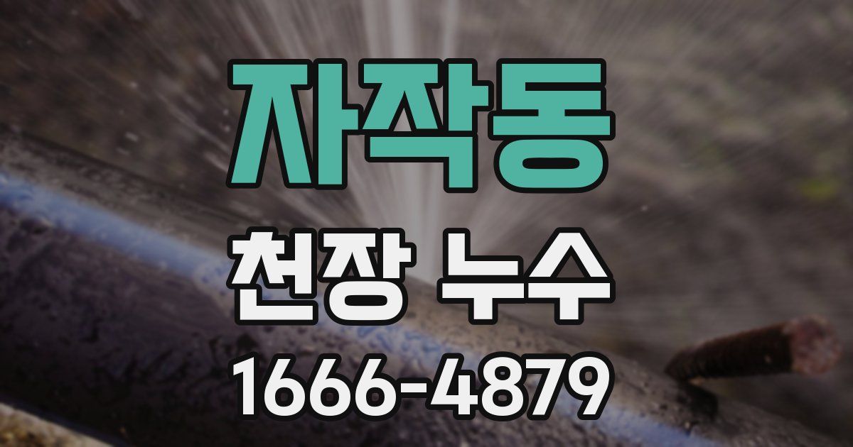 자작동 천장 누수