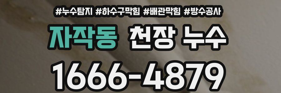 자작동 천장 누수