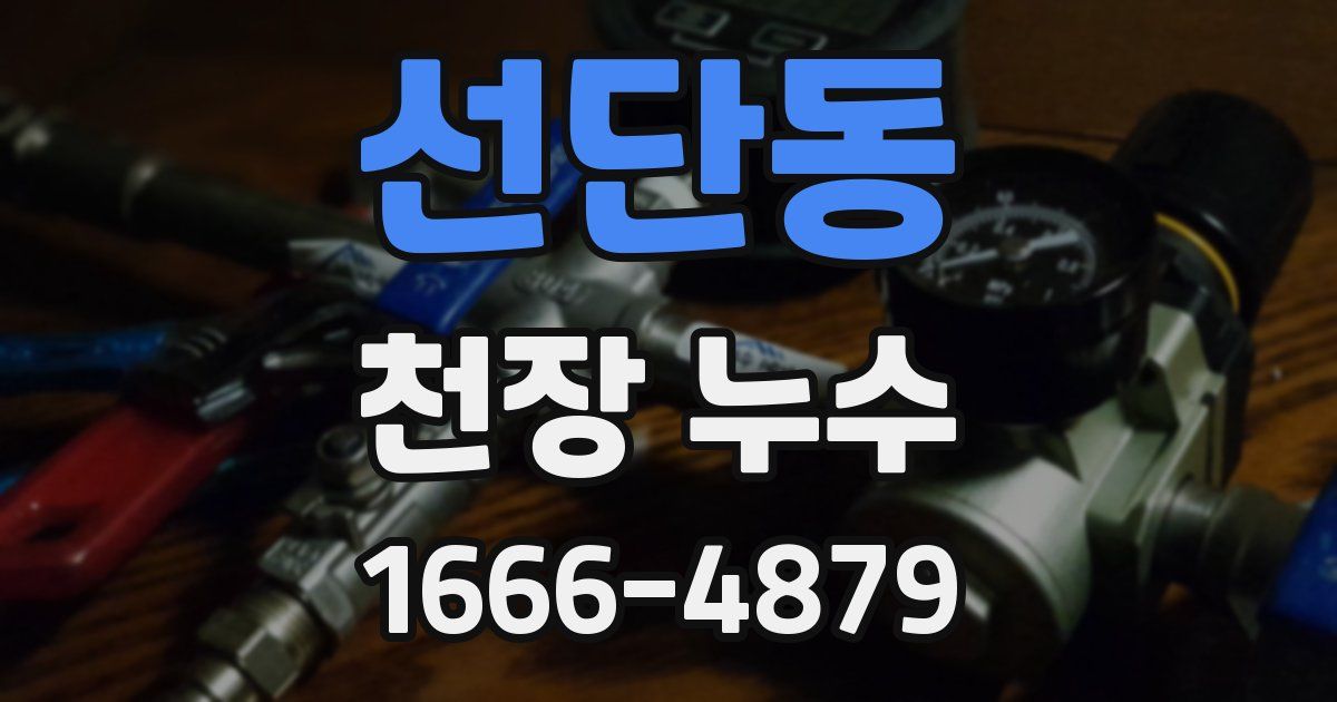 선단동 천장 누수