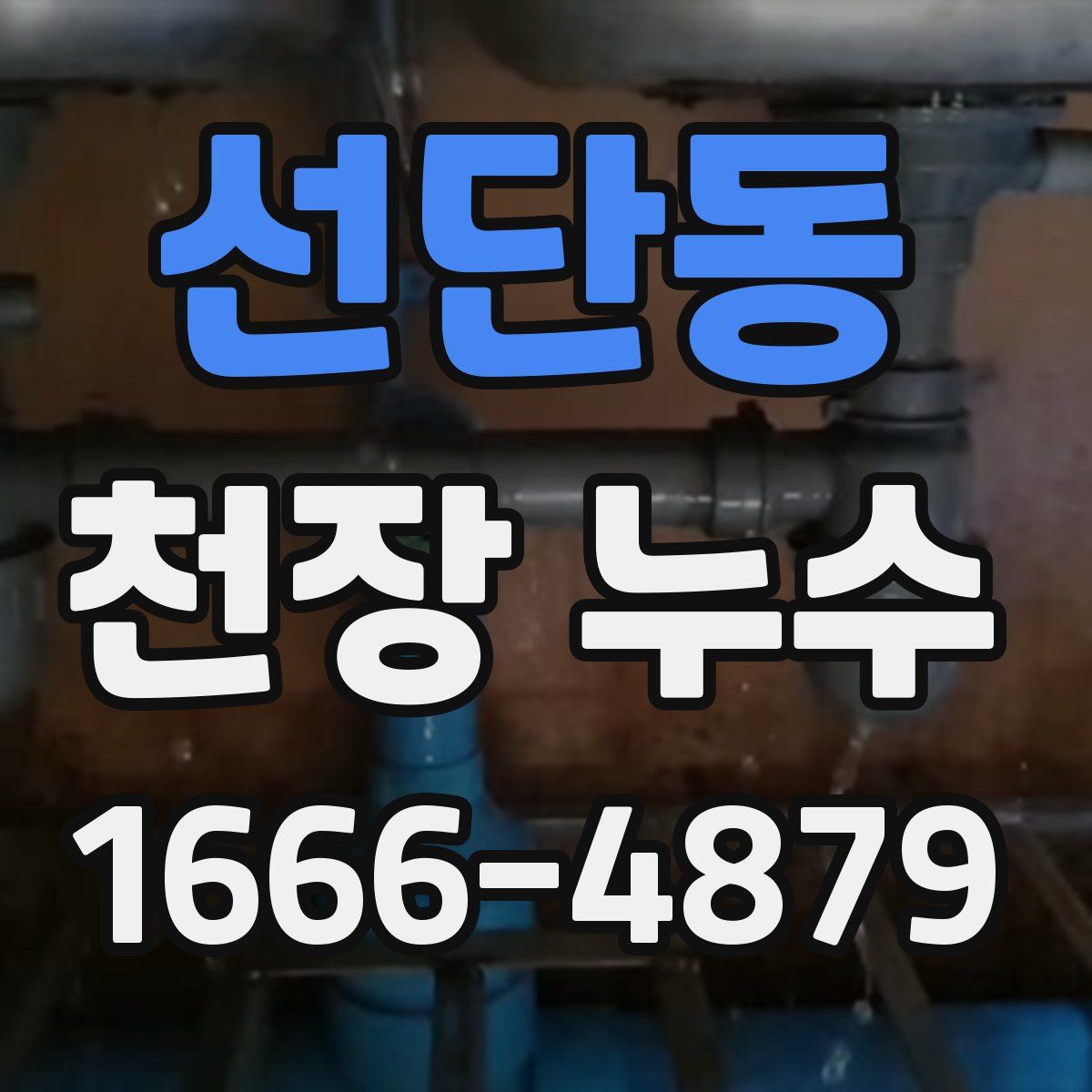 선단동 천장 누수