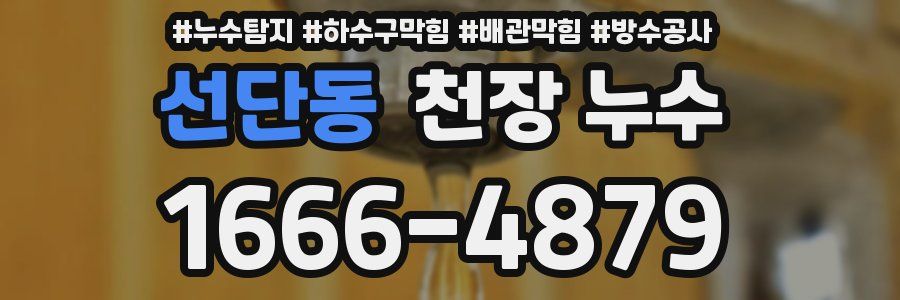선단동 천장 누수