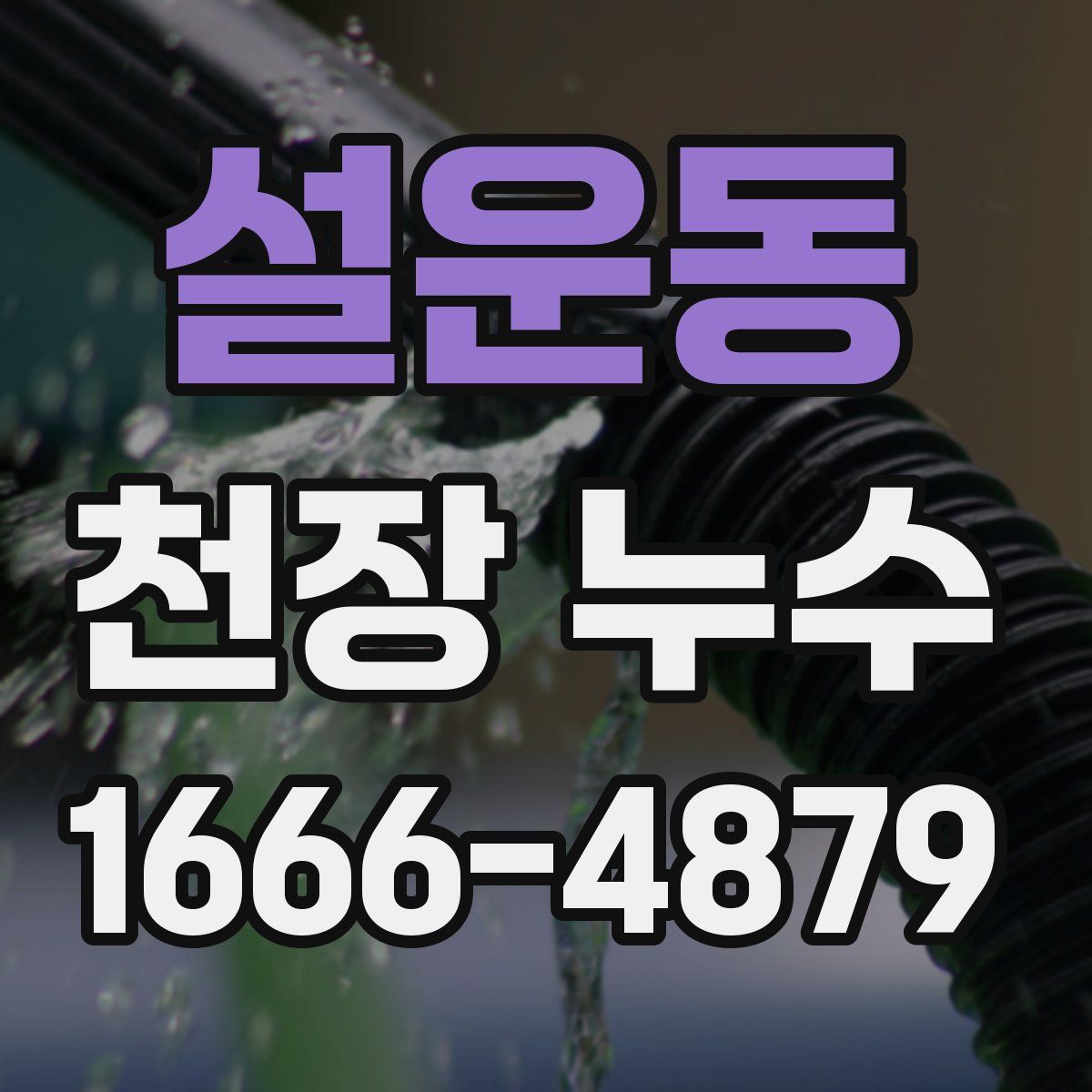 설운동 천장 누수