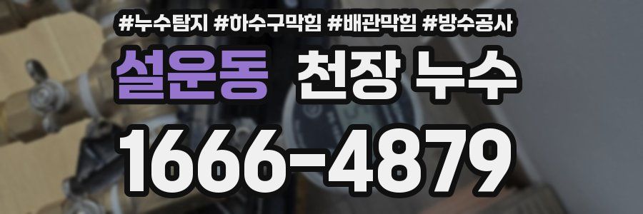 설운동 천장 누수