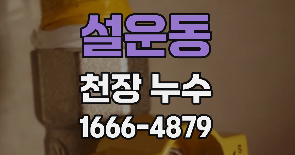 설운동 천장 누수
